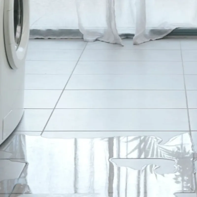 Appliance Leak Cleanup in Dunnellon, FL